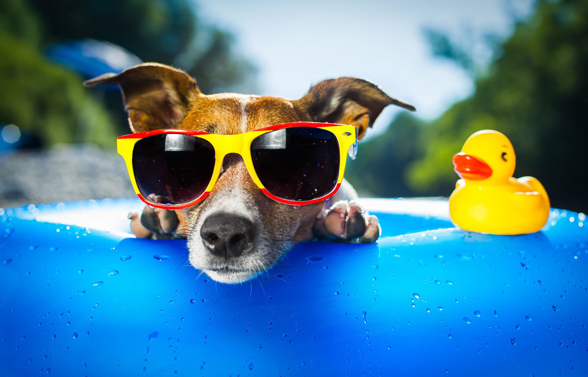 12 Tips To Stay Cool In Your Long Island Home This Summer
